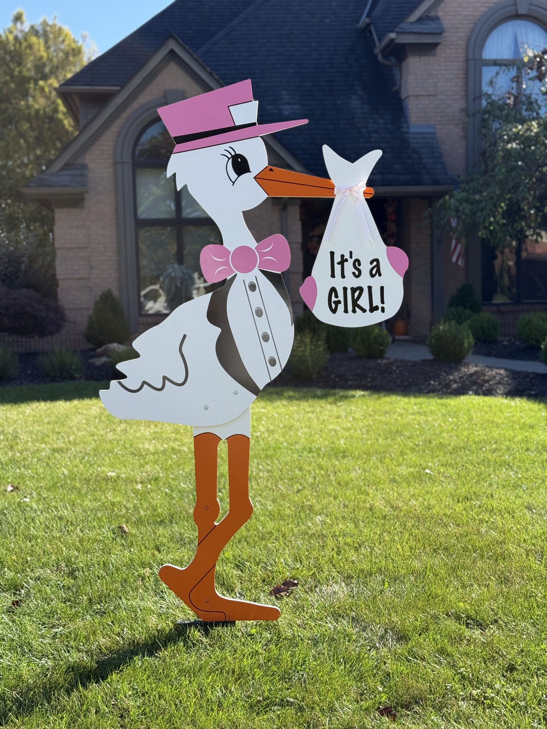 Classic Baby Announcement Stork Rental - Image 2